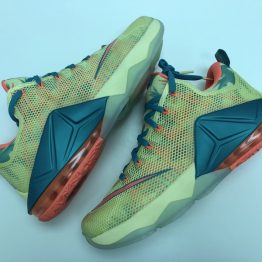 Nike LeBron XII Low_0498