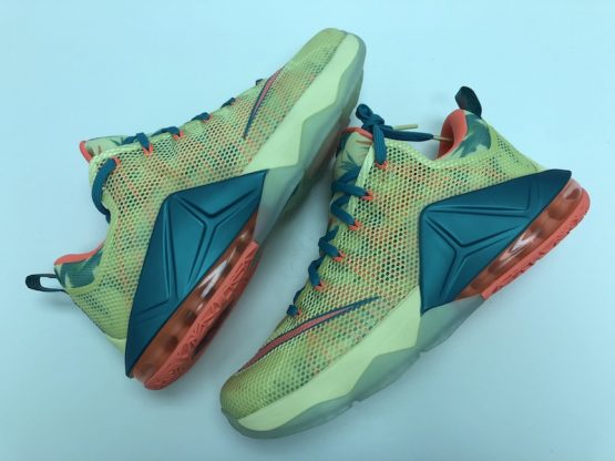 Nike LeBron XII Low_0498