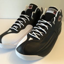 Air Jordan Jumpman Team One_1749