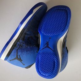 Air Jordan XXXI Royal