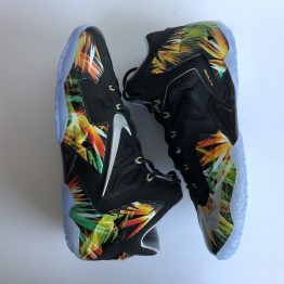 Nike LeBron XI Everglades