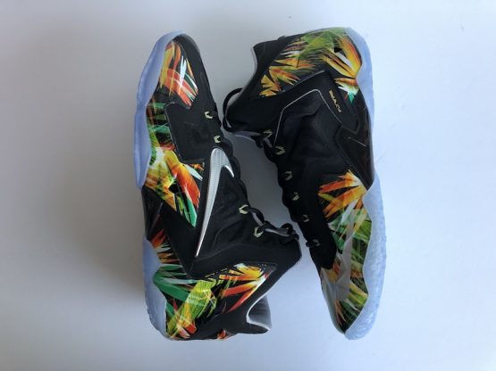 Nike LeBron XI Everglades