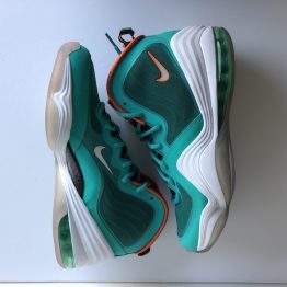 Nike Penny V Dolphins