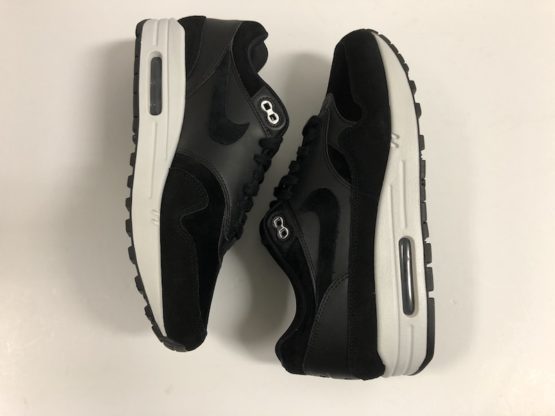 Nike Air Max 1 Rebel Skulls