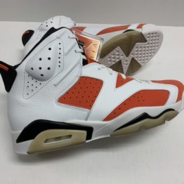 Air Jordan VI Gatorade 2017