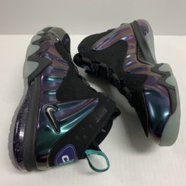 Nike Barkley Posite Max 555097-003