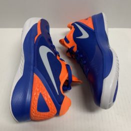 Nike Zoom Hyperdunk 2011 Low - 487638-418