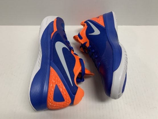 Nike Zoom Hyperdunk 2011 Low - 487638-418