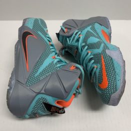 Nike Zoom LeBron XII: 684593-301