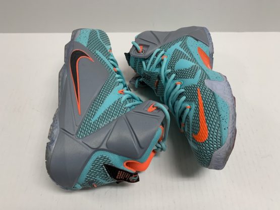 Nike Zoom LeBron XII: 684593-301