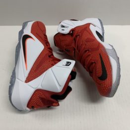 Nike LeBron XII 684593-601