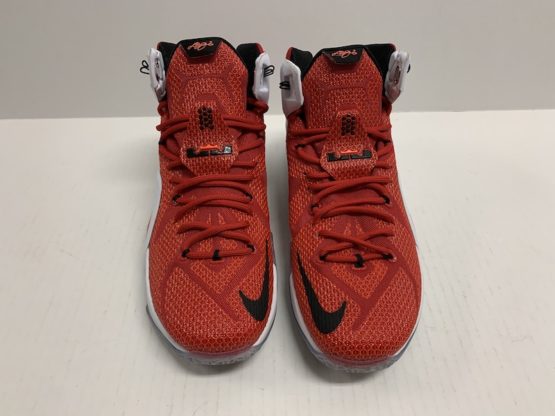Nike Air LeBron XII "Heart of a Lion" (2015) - Image 2