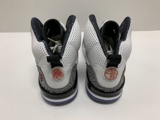 Air Jordan Spizike "Grape" (2010) - Image 3