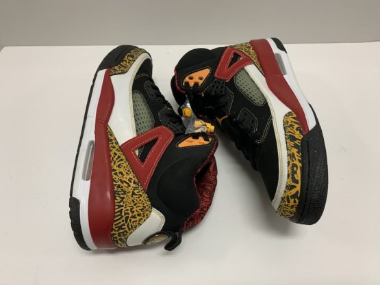Air Jordan Spizike "King County" (2007)