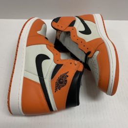 Nike Air Jordan 1 Retro "Reverse Shattered Backboard" (2016)_7021