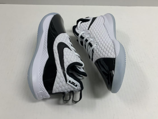 Nike Air Lebron Witness Concord